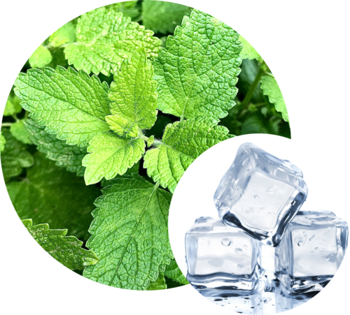 Menthol Liquid